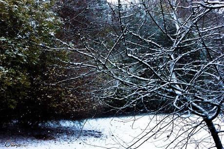 Like a snow globe ♥ Like a snow globe ♥