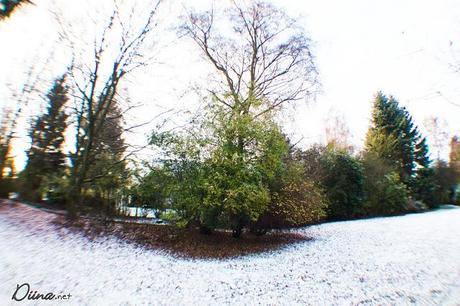 Schnee *o* Schnee *o*