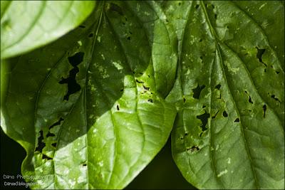 Fotos der letzten Wochen ♥