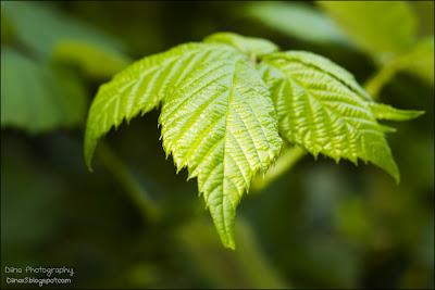 Fotos der letzten Wochen ♥