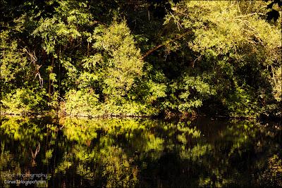 Fotos der letzten Wochen ♥