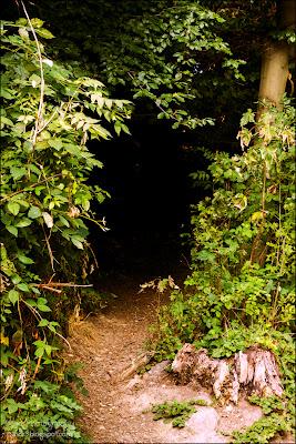 Fotos der letzten Wochen ♥