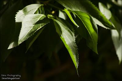 Fotos der letzten Wochen ♥