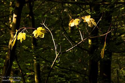 Fotos der letzten Wochen ♥