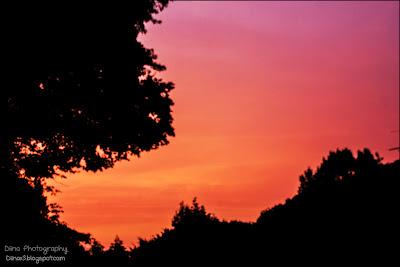 Fotos der letzten Wochen ♥