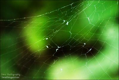 Fotos der letzten Wochen ♥