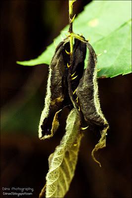 Fotos der letzten Wochen ♥