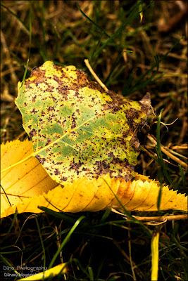 Fotos der letzten Wochen ♥