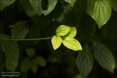 Fotos der letzten Wochen ♥