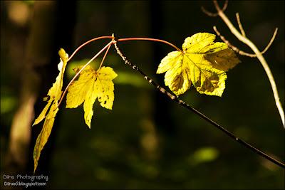 Fotos der letzten Wochen ♥