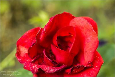 Fotos der letzten Wochen ♥