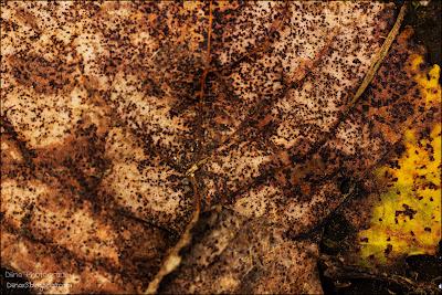 Fotos der letzten Wochen ♥