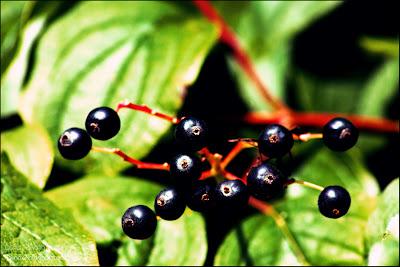 Fotos der letzten Wochen ♥