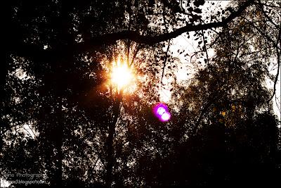 Fotos der letzten Wochen ♥