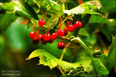 Fotos der letzten Wochen ♥