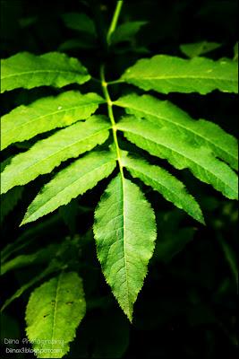 Fotos der letzten Wochen ♥