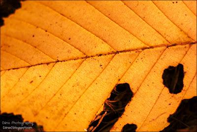 Fotos der letzten Wochen ♥