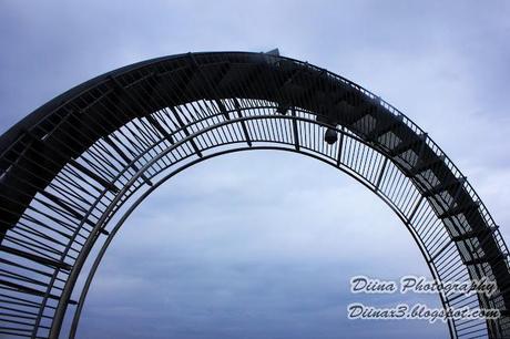 16.07.2012 - Tiger & Turtle