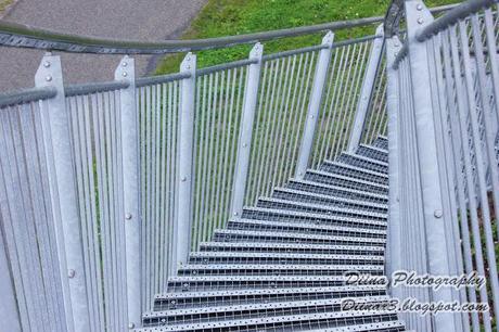 16.07.2012 - Tiger & Turtle