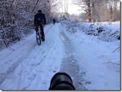 Wiegetritt im Schnee