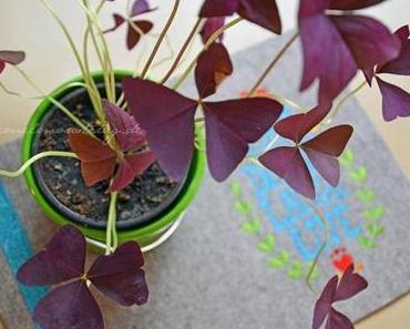 M wie Montag oder …