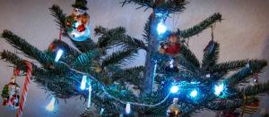 Xmas-Tag-Weihnachten-Baum-Tanne