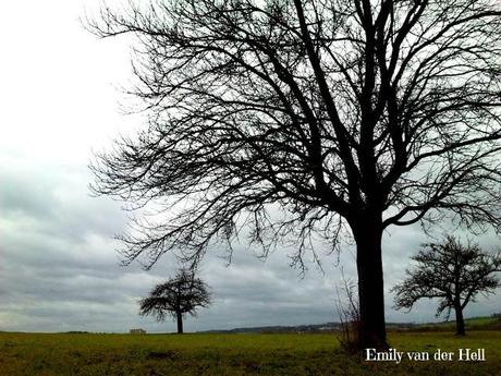 Urlaubsimpressionen und Weihnachtsgeschenke