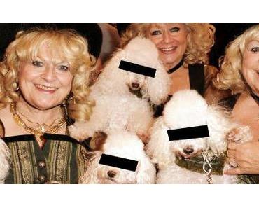 Kakerlaken totmachen