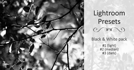 Lightroom Presets: Black&White; Pack