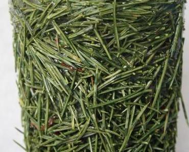 Ich hab’ jetzt wieder Zeit…