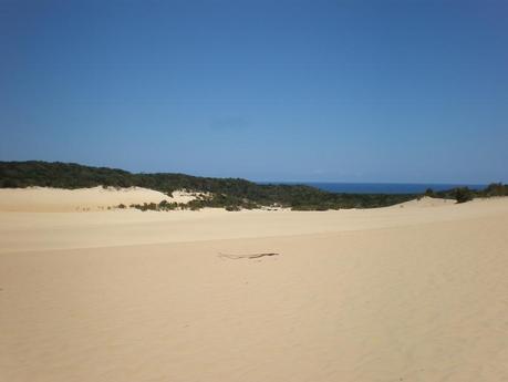 Auslandstagebuch: 23. November 2011 - Fraser Island