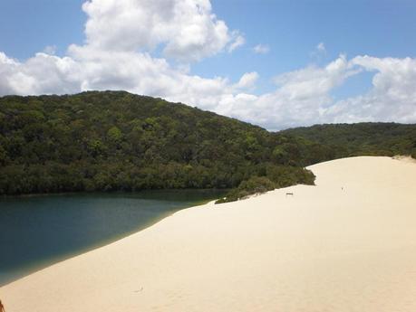 Auslandstagebuch: 23. November 2011 - Fraser Island