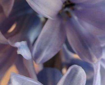 wallpaper-1689754