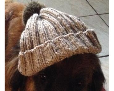 Da sich alle anderen wehren Fotomodell zu werden...*lach*