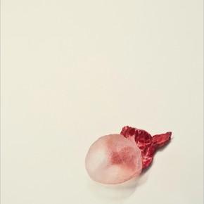 Plumgum  2011 colored pencil on paper 24” x 18”, Blown, 2011-2012 // All Images © 2013 Julia Randall. All Rights Reserved.