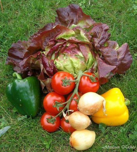 Salatdressings - Tipps, Tricks, Anregungen