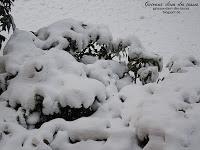 Mug Cake mit Nutella