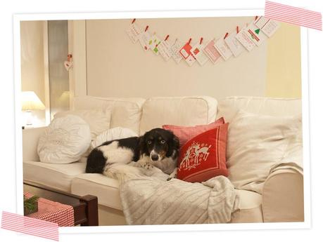 Was macht denn der Hund auf dem Sofa? Zeit für die Weihnachtspost. Wunderschöne Weihnachtspostkarten zum selberdrucken! Freebie/ Printable