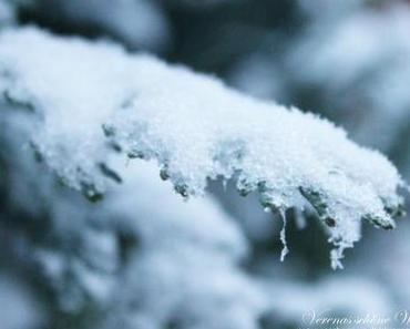 Wordless/Wordful Wednesday: Winter...