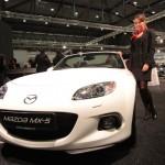 Hübsche Damen auf der Vienna Autoshow 2013