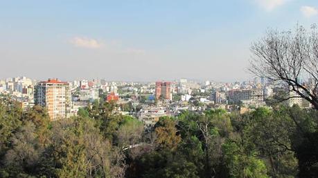 mexico city_condesa-7