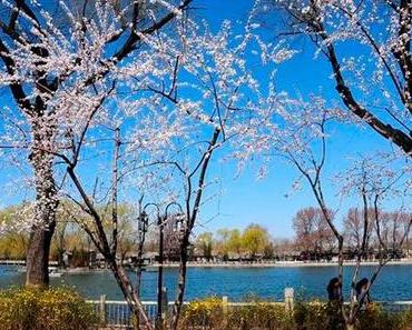 10 Dinge, die man in Peking sehen sollte