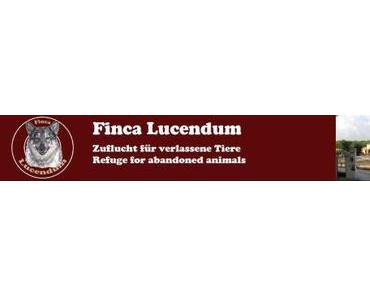 Die Finca Lucendum hat jetzt ihre eigene Seite bei der Rasselbande ツ