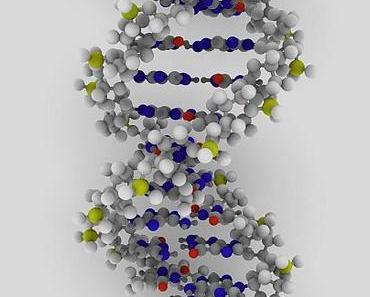 Nettigkeit per DNA