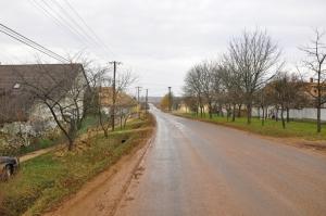 Straße durch Kolontár