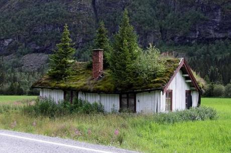 norwegens grüne dächer