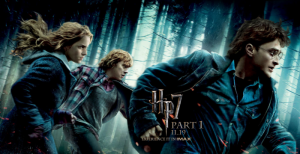 Harry Potter VII