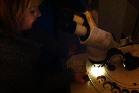 Mikroskope zum Anfassen
