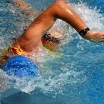 Schwimmen, Kraultechnik im Triathlon