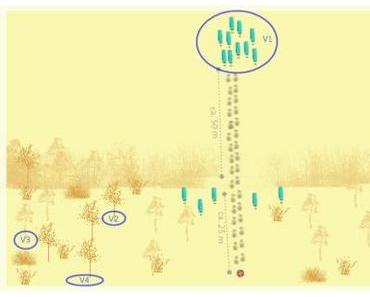 F1 – Training mit “Hindernissen”